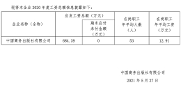 2020年中国商务出版社有限公司工资总额信息披露